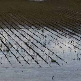 Municipalities and cities work together to strengthen the resistance of agriculture to climate change